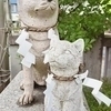 ひらめさんのプロフィール画像