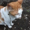 masutoさんのプロフィール画像