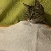 ミキさんのプロフィール画像