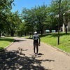 イチカワさんのプロフィール画像