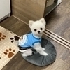 葵さんのプロフィール画像