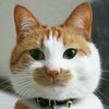 さくたろーさんのプロフィール画像