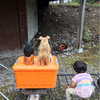 Teruさんのプロフィール画像