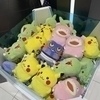 ちさきさんのプロフィール画像