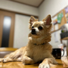 黒山のあっちゃん　さんのプロフィール画像