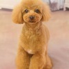 みりみりさんのプロフィール画像