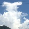 maha55334さんのプロフィール画像