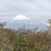 みわ
