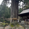 佐野