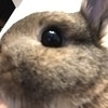 だいしくん