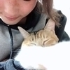 ふなたろすさんのプロフィール画像