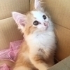 ソラさんのプロフィール画像