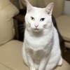 あられちゃんさんのプロフィール画像