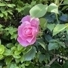 yuさんのプロフィール画像