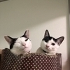 るーみーさんのプロフィール画像