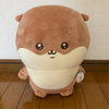 ニコさんのプロフィール画像