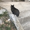 エカノフさんのプロフィール画像