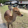 ゆずさんのプロフィール画像