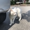 さくらさんのプロフィール画像
