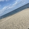 海さんのプロフィール画像