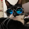 さっちさんのプロフィール画像