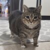 ザキシマさんのプロフィール画像