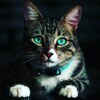 猫舌さんのプロフィール画像