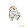 こだかさんのプロフィール画像