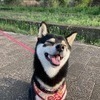 中ちゃんさんのプロフィール画像