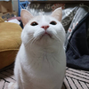 kyoshiroさんのプロフィール画像