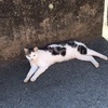 ひろさんのプロフィール画像