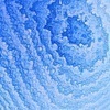 marine009さんのプロフィール画像