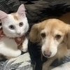 気軽にコメント下さいさんのプロフィール画像