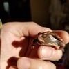 Box turtleさんのプロフィール画像