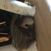 TOMOさんのプロフィール画像