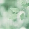 tsriさんのプロフィール画像