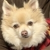 田中角栄さんのプロフィール画像
