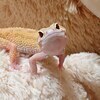 びびさんのプロフィール画像