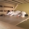 tomoさんのプロフィール画像