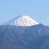 TOMOさんのプロフィール画像
