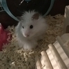 blさんのプロフィール画像