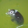 北京さんのプロフィール画像
