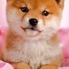 川崎さんのプロフィール画像