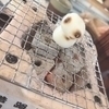 まーくんさんのプロフィール画像