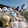 ナミキさんのプロフィール画像