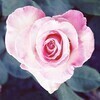 khellaさんのプロフィール画像