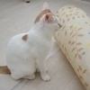さくららさんのプロフィール画像