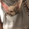 いとうさんのプロフィール画像