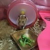 てんさんのプロフィール画像