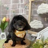 kousukeさんのプロフィール画像